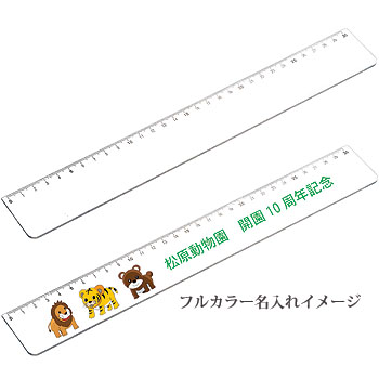 527-10 PR定規ホワイト30cm