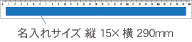 537 安全定規30cm 名入れ場所2